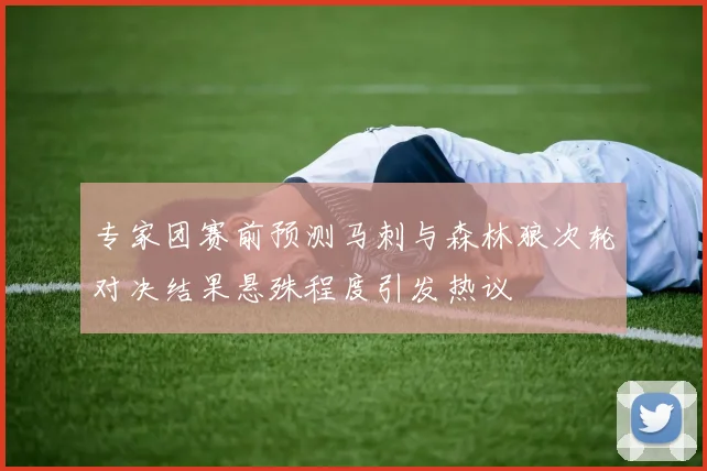 专家团赛前预测马刺与森林狼次轮对决结果悬殊程度引发热议